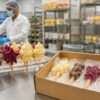 popsicle supplier